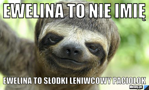 Ewelina to nie imię  Ewelina to słodki leniwcowy paciolok