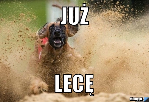 Już lecę