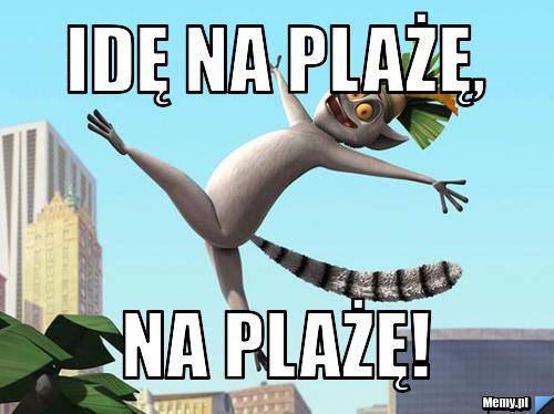 Idę na plażę, na plażę!