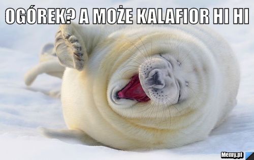 Ogórek? a może kalafior hi hi 
