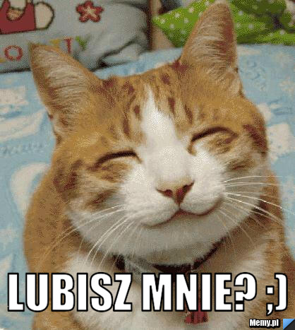  lubisz mnie? ;)