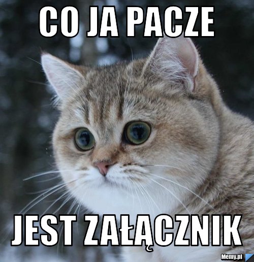 Co ja pacze jest załącznik