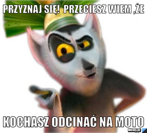 Przyznaj się!  przeciesz wiem ,że Kochasz odcinać na moto 