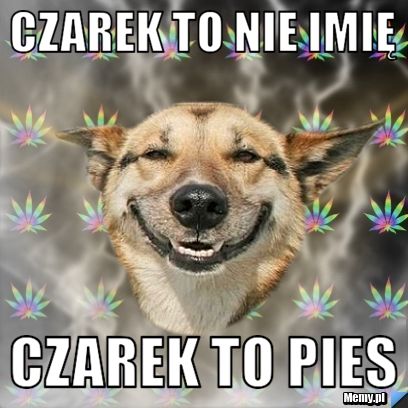 Czarek to nie imię Czarek to pies