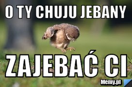 O TY CHUJU JEBANY zajebać ci