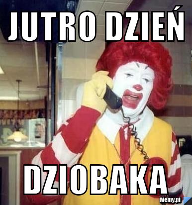 Jutro dzień dziobaka