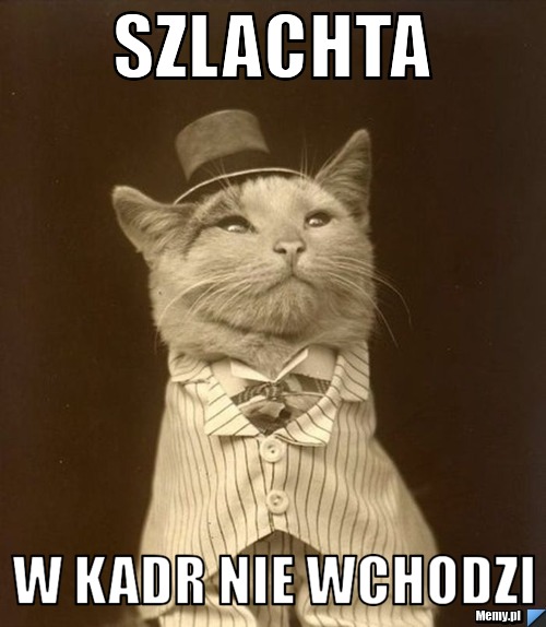 SZlachta  w kadr nie wchodzi