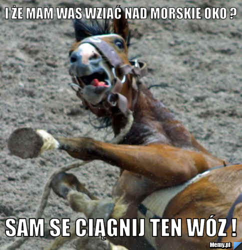I że mam was wziąć nad morskie oko ? sam se ciągnij ten wóz ! 
