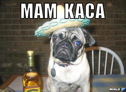 Mam  kaca 