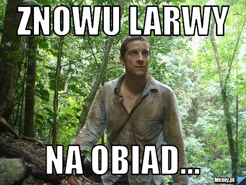Znowu larwy  na obiad...