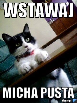 Wstawaj                micha pusta                     