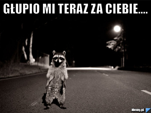Głupio Mi teraz Za Ciebie.... 