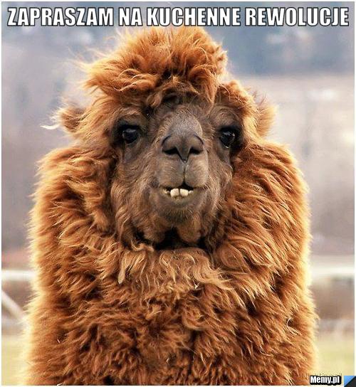 Zapraszam na kuchenne rewolucje 