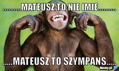 ..........Mateusz to nie imie.......... .....Mateusz to szympans.....