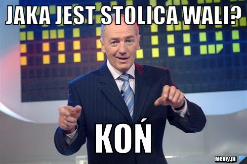 Jaka jest stolica wali? koń