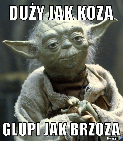 Duży jak koza glupi jak brzoza