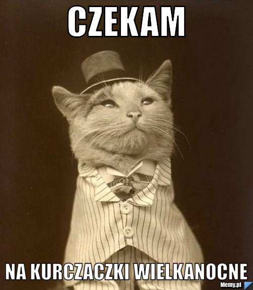 Czekam na kurczaczki Wielkanocne 