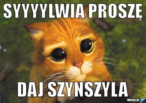 Syyyylwia proszę Daj szynszyla