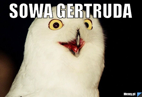 Sowa Gertruda  