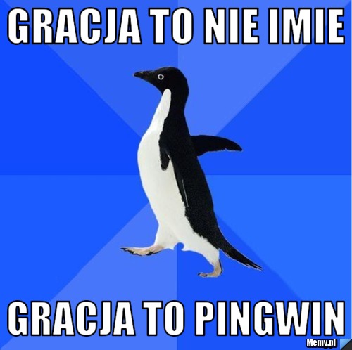 Gracja to nie imie Gracja to pingwin 