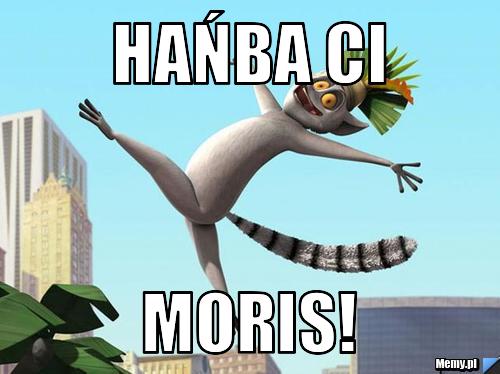 Hańba Ci Moris!