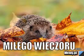 miłego wieczoru...