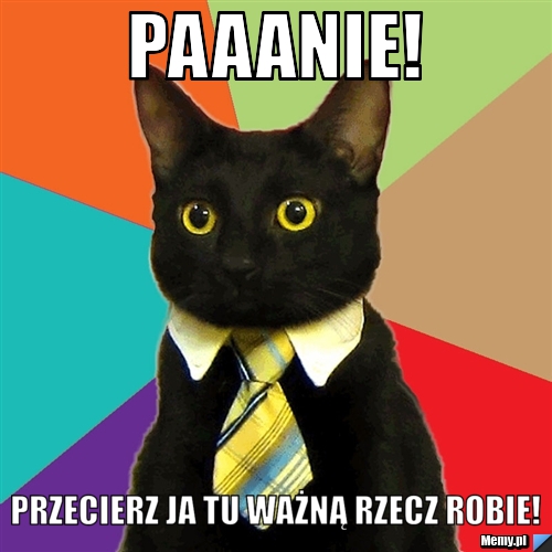 Paaanie! Przecierz ja tu ważną rzecz robie!