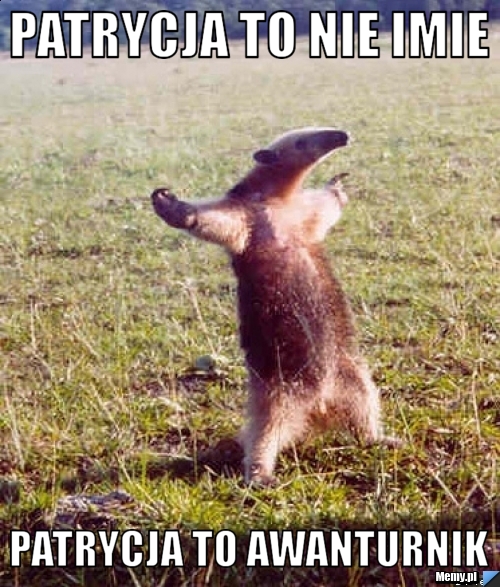 Patrycja to nie imie Patrycja to awanturnik