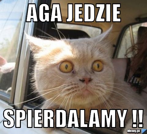 Aga Jedzie  Spierdalamy !!