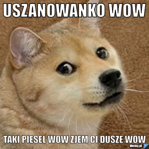 USZANOWANKO WOW Taki Pieseł WOW ZJEM CI DUSZE WOW