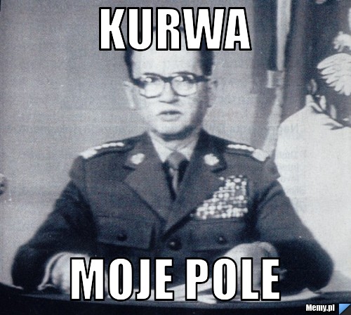 KURWA MOJE pOLe
