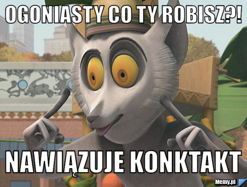 Ogoniasty co ty robisz?! nawiązuje konktakt