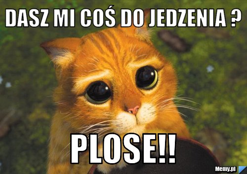 DASZ MI coś do jedzenia ? plose!!