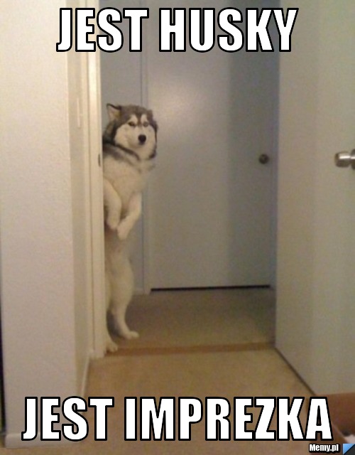 Jest husky jest imprezka
