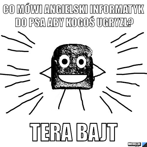 Co mówi angielski informatyk do psa aby kogoś ugryzł? tera bajt