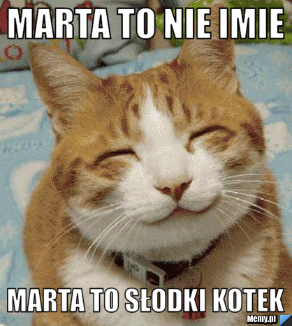 Marta to nie imie marta to słodki kotek