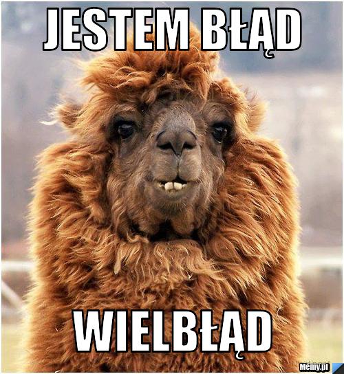 Jestem Błąd Wielbłąd