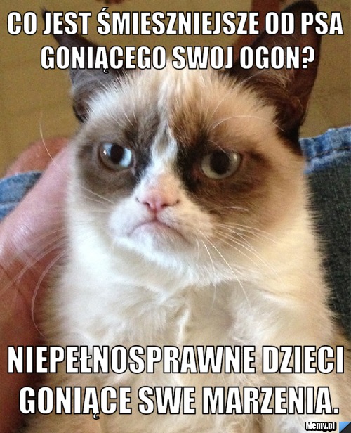 Co jest śmieszniejsze od psa goniącego swoj ogon? Niepełnosprawne dzieci goniące swe marzenia.
