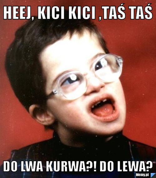Heej, kici kici ,taś taś do lwa kurwa?! do lewa?