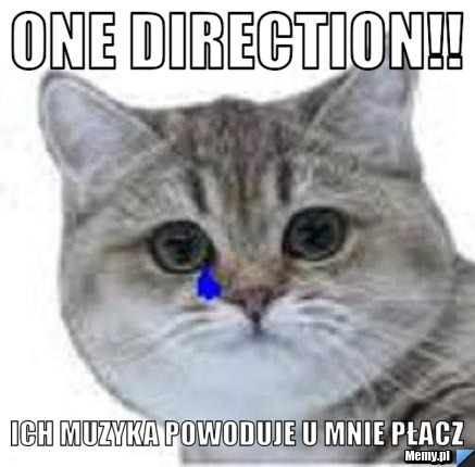One Direction!! ich muzyka powoduje u mnie płacz 