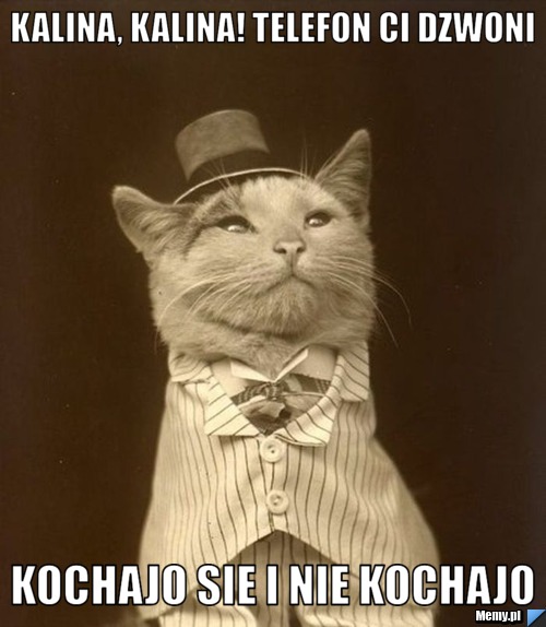 Kalina, Kalina! telefon Ci dzwoni Kochajo sie i nie kochajo