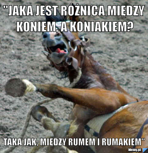 "Jaka jest różnica między koniem, a koniakiem? Taka jak, między rumem i rumakiem"
