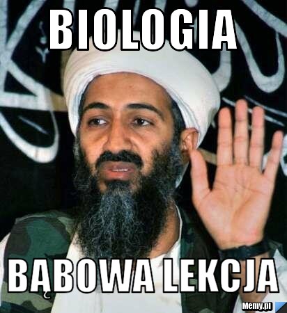 Biologia Bąbowa lekcja