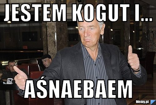 Jestem Kogut i... AŚNAEBAEM