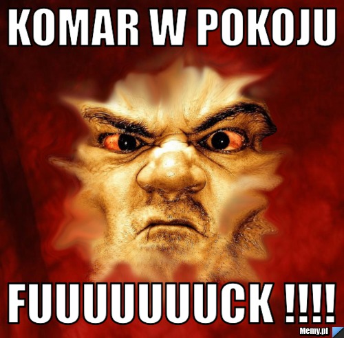 Komar w pokoju fuuuuuuuck !!!!