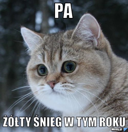 Pa  Ż&oacute;łty śnieg w tym roku
