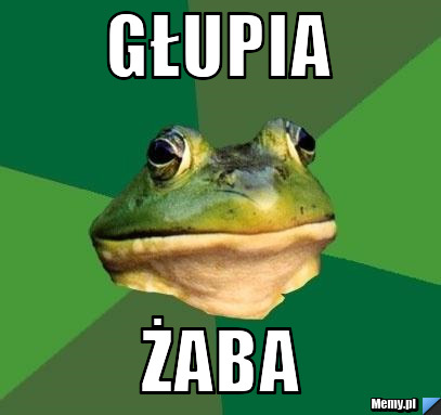 GŁUPIA ŻABA