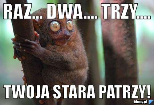 Raz... Dwa.... Trzy.... TWOJA STARA PATRZY!