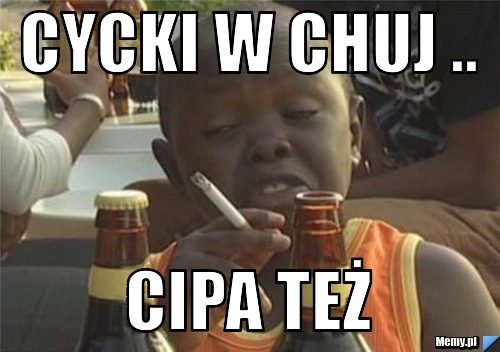 CYCKI W CHUJ .. CIPA TEŻ 