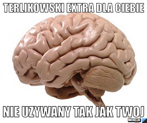 Terlikowski extra dla ciebie Nie uzywany tak jak twoj